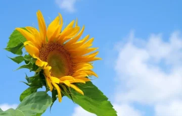 岩沼塾夏期講習画像
